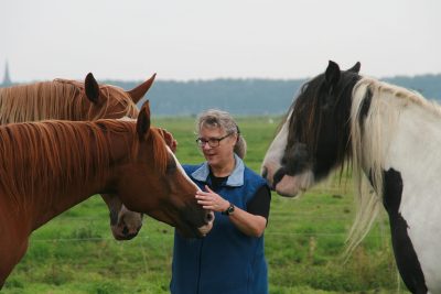 Paarden en Agile